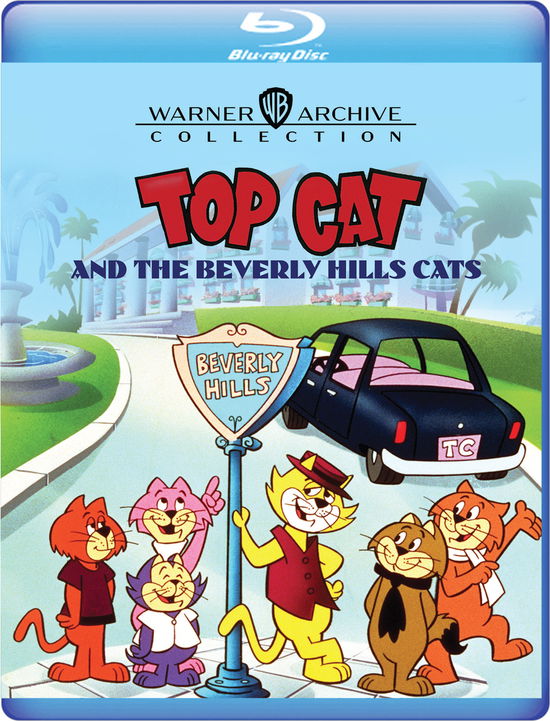 Cover for Top Cat &amp; the Beverly Hills Cats (Blu-ray) (2024)