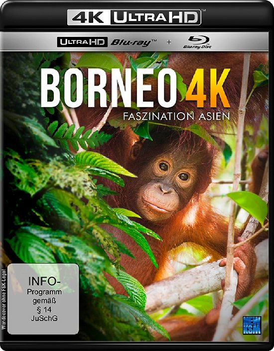 Cover for Borneo 4k · Faszination Asien (uhd-blu-ray + Blu-ray) (Import) (Blu-ray) (2017)