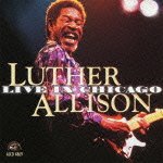 Cover for Luther Allison · Live in Chicago (CD) [Japan Import edition] (2012)