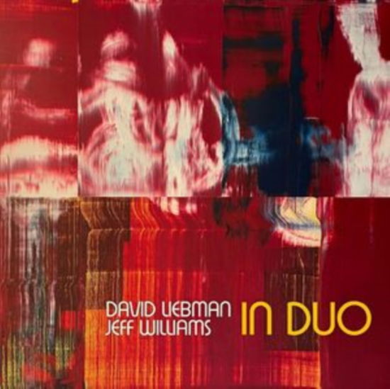 Cover for Dave Liebman &amp; Jeff Williams · In Duo (LP) (2024)