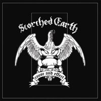 Cover for Scorched Earth · Cause And Effect (LP) (2011)