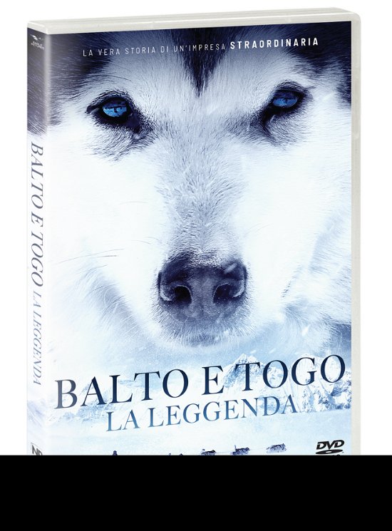 Cover for Balto E Togo - La Leggenda (DVD) (2020)