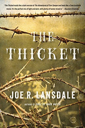 Cover for Joe R. Lansdale · The Thicket (Paperback Bog) (2014)