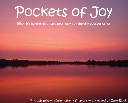 Cover for Cate Ellink · Pockets of Joy (Hardcover bog) (2020)