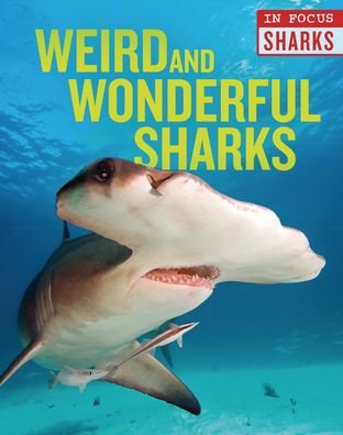 Cover for Camilla de la Bedoyere · Weird and Wonderful Sharks (Book) (2020)