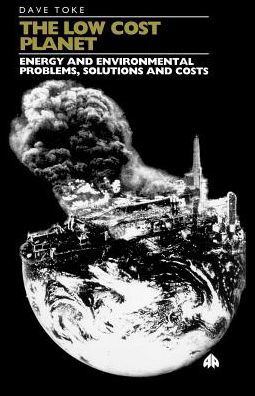 The Low Cost Planet: Energy and Environmental Problems, Solutions and Costs - David Toke - Książki - Pluto Press - 9780745308449 - 20 kwietnia 1995
