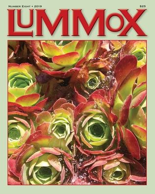 Cover for R D Armstrong · Lummox Number Eight (Paperback Book) (2019)