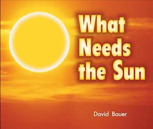 Cover for David Bauer · What needs the sun (Book) (2007)