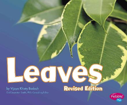 Cover for Vijaya Khisty Bodach · Leaves (Plant Parts) (Paperback Book) [Revised edition] (2016)