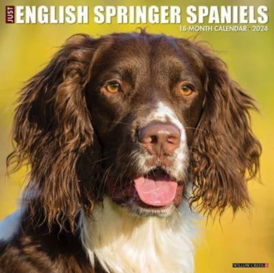 Cover for Willow Creek Press · Just English Springer Spaniels 2024 12 X 12 Wall Calendar (Calendar) (2023)