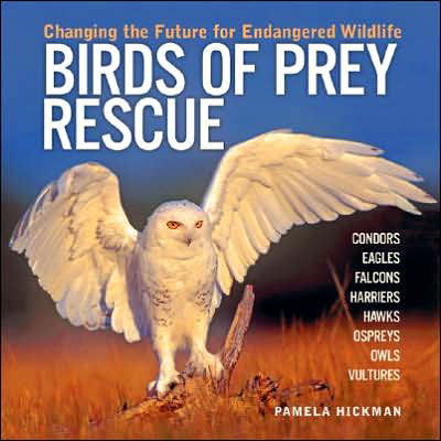 Birds of Prey Rescue: Changing the Future for Endangered Wildlife - Pamela Hickman - Books - Firefly Books Ltd - 9781554071449 - February 20, 2006