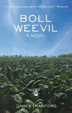 Cover for James Radford · Boll Weevil (Pocketbok) (2019)