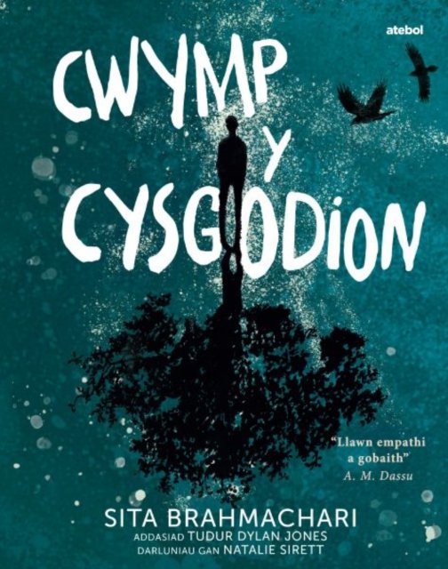 Cover for Sita Brahmachari · Darllen yn Well: Cwymp y Cysgodion (Paperback Book) (2023)