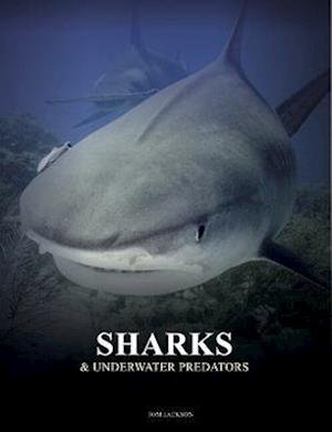 Cover for Tom Jackson · Sharks and Underwater Predators - Animals (Hardcover Book) (2023)