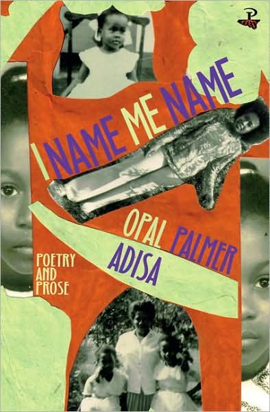Cover for Opal Palmer Adisa · I Name Me Name (Paperback Book) [1st edition] (2008)