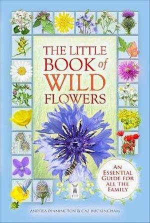 Cover for Caz Buckingham · The Little Book of Wild Flowers (Paperback Book) (2021)
