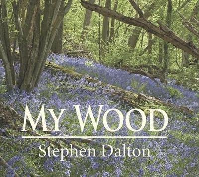 Cover for Stephen Dalton · My Wood (Hardcover Book) (2017)