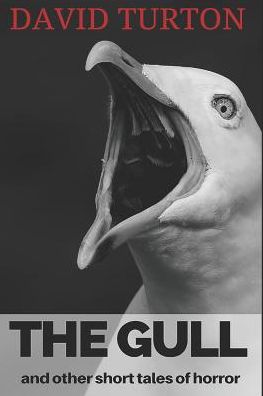 Cover for David Turton · The Gull (Paperback Book) (2018)