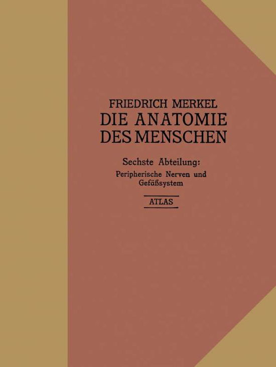 Atlas Zu Peripherische Nerven Und Gefasssystem - Friedrich Merkel - Bücher - Springer-Verlag Berlin and Heidelberg Gm - 9783662426449 - 1918