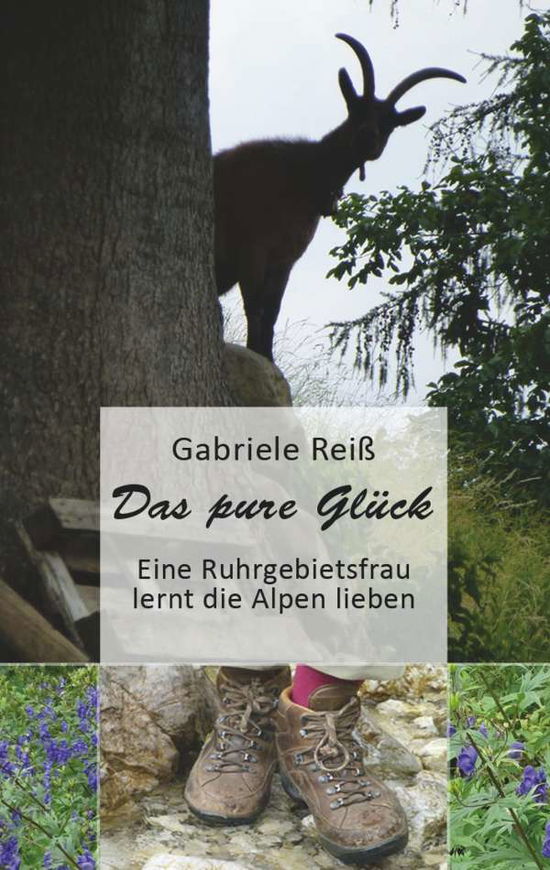 Cover for Reiß · Das pure Glück (Book)