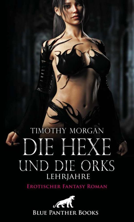 Cover for Morgan · Die Hexe und die Orks - Lehrjahr (Book)