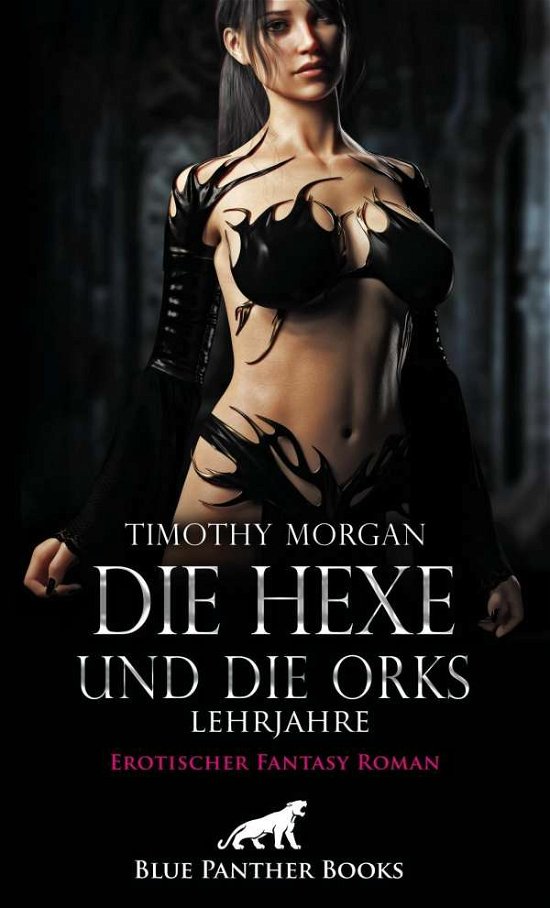Cover for Morgan · Die Hexe und die Orks - Lehrjahr (Buch)
