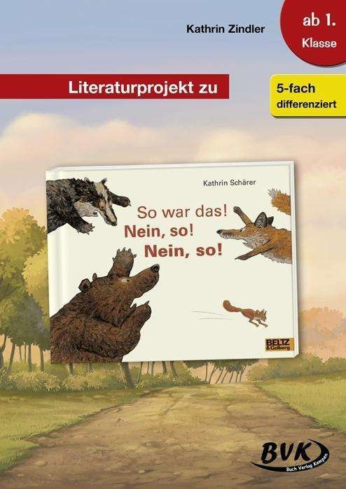 Cover for Zindler · Literaturprojekt zu So war das! (Bok)