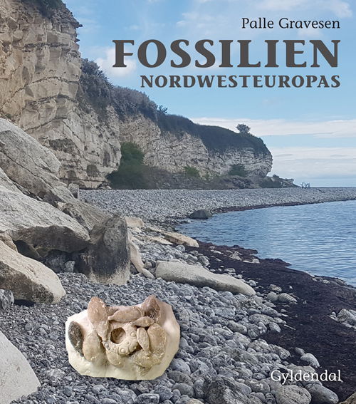 Fossilien Nordwesteuropas - Palle Gravesen - Livros - Gyldendal - 9788702277449 - 2 de outubro de 2020