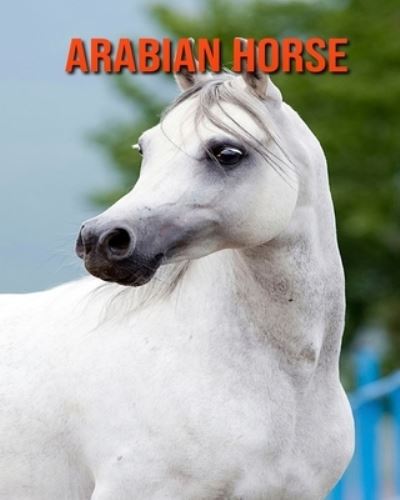 Cover for William Doyle · Arabian Horse (Paperback Book) (2020)