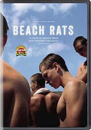 Cover for Beach Rats (DVD) (2017)