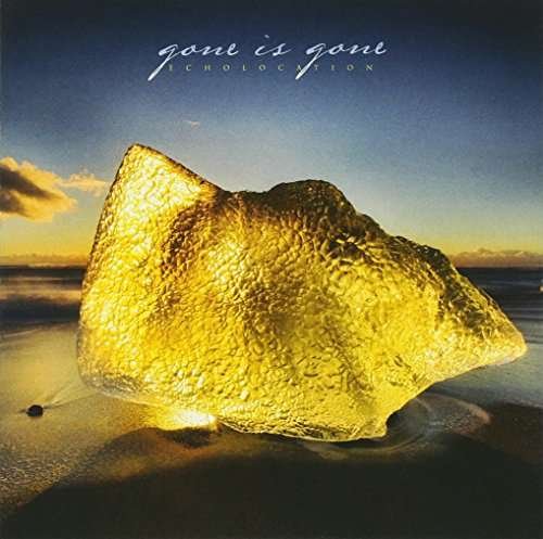 Cover for Gone is Gone · Echolocation (CD) (2017)