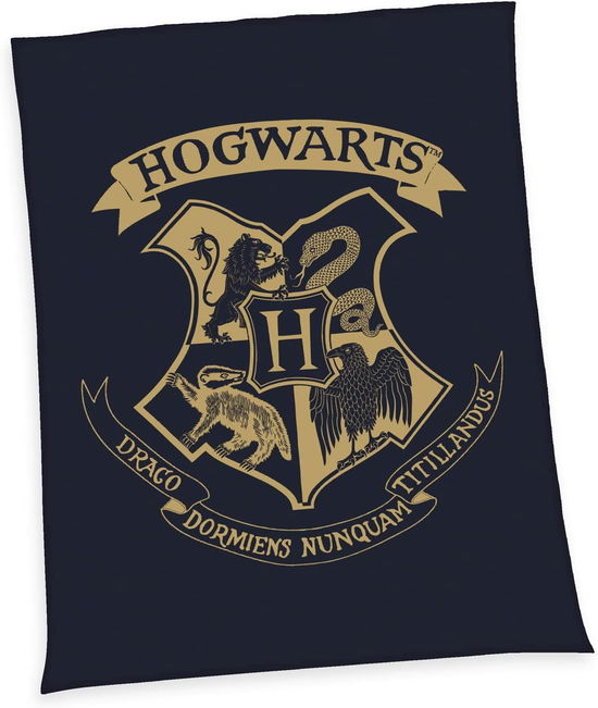 Harry Potter Fleecedecke Hogwarts 150 x 200 cm - Harry Potter - Merchandise - Klaus Herding GmbH - 4006891960450 - April 25, 2022