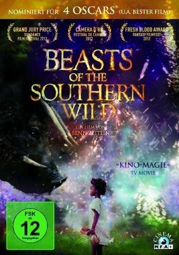 Cover for Beasts of the Southern Wild (DVD) (2013)