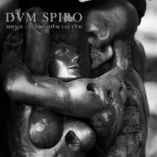 Cover for Dvm Spiro · Mmxix - In Frigidvm Lectvm (CD) (2019)