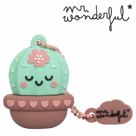 Cover for Mr. Wonderful · Toy Mr. Wonderful Mr. Wonderful - Usb 16 (Leksaker)
