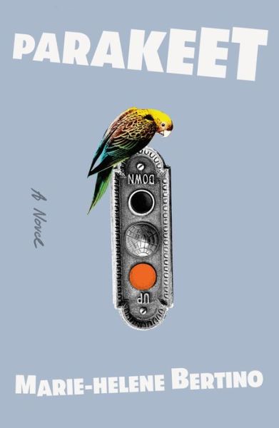 Cover for Marie-Helene Bertino · Parakeet: A Novel (Hardcover Book) (2020)