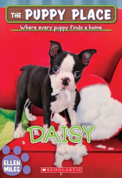 Cover for Ellen Miles · Daisy (The Puppy Place #38) (Paperback Book) (2015)