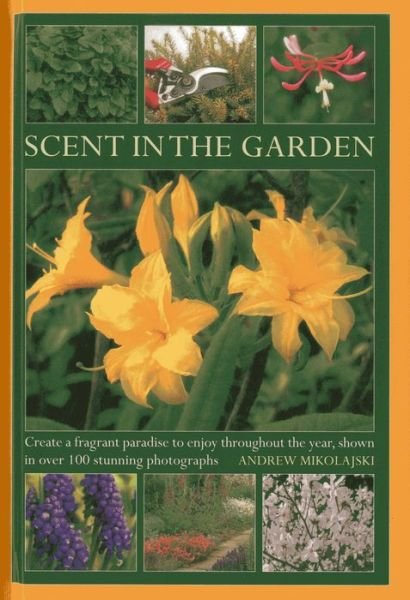 Cover for Andrew Mikolajski · Scent in the Garden: Create a Fragrant Paradise to Enjoy Throughout the Year, Shown in 100 Stunning Photographs (Gebundenes Buch) (2013)
