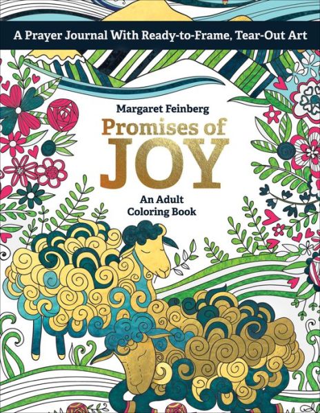 Cover for Margaret Feinberg · Promises of Joy (Stationery) (2016)