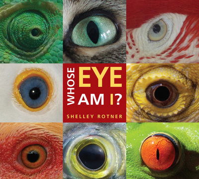 Cover for Shelley Rotner · Whose Eye Am I? (Paperback Book) (2018)