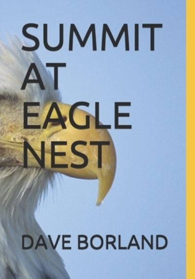 Cover for Dave Borland · Summit at Eagle Nest (Paperback Book) (2019)