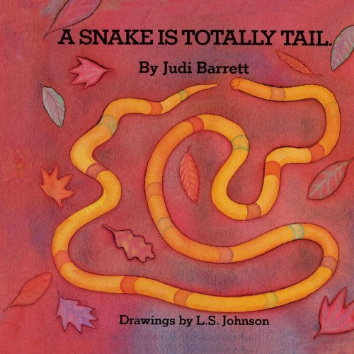 A Snake is Totally Tail - Judi Barrett - Books - Aladdin - 9781416968450 - November 28, 2007