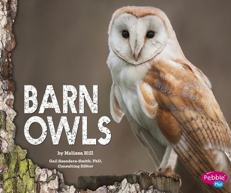 Cover for Melissa Hill · Barn Owls (Hardcover Book) (2015)