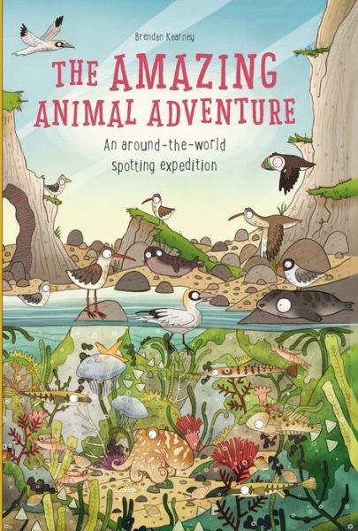 Cover for Anna Claybourne · Amazing Animal Adventure (Bog) (2016)