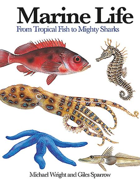 Marine Life: From Tropical Fish to Mighty Sharks - Mini Encyclopedia - Michael Wright - Książki - Amber Books Ltd - 9781782744450 - 14 września 2016