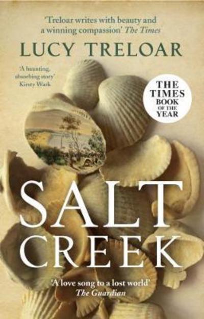 Cover for Lucy Treloar · Salt Creek (Paperback Book) (2018)