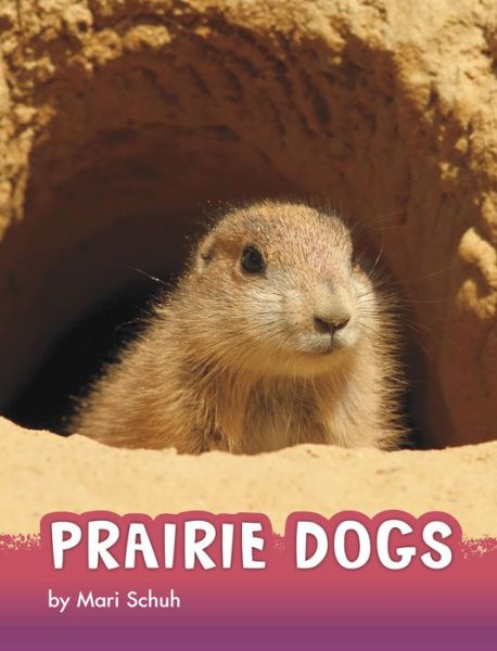 Cover for Mari Schuh · Prairie Dogs (Book) (2020)