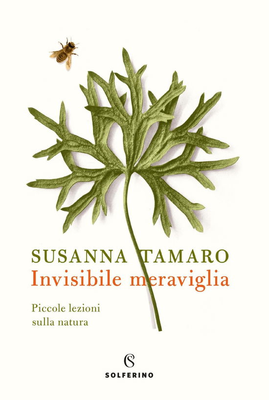 Cover for Susanna Tamaro · Invisibile Meraviglia. Piccole Lezioni Sulla Natura (Book)