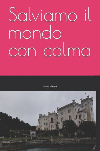 Cover for Matteo Mallardi · Salviamo il mondo con calma (Paperback Book) (2021)