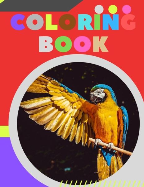 Cover for Luis Fabris · Coloring Book (Paperback Book) (2021)